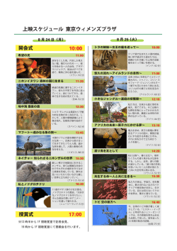 こちら!