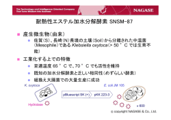 耐熱性エステル加水分解酵素 SNSM-87