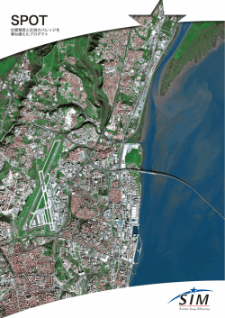 SPOT衛星画像について