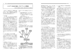 シロアリ社会の進化：ゴキブリとの関連