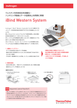 iBind Western System