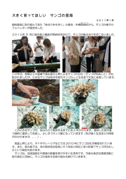 生育情報