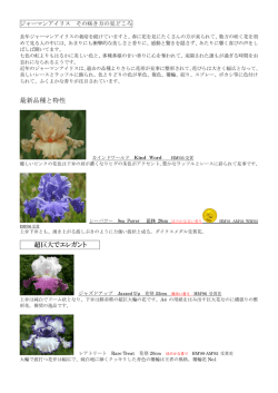 最新品種と特性 超巨大でエレガント
