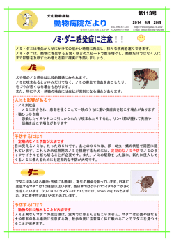 ノミ・ダニ感染症に注意！