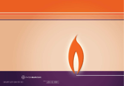 LEV-12-1001 （201207）LEV