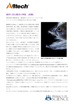 海洋に住む数兆の神秘 (前篇)