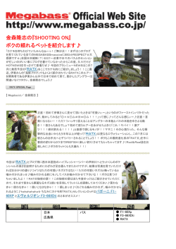 金森隆志の『SHOOTING ON』 ボクの頼れるペットを紹介します