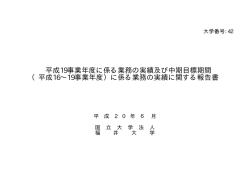 業務の実績に関する報告書