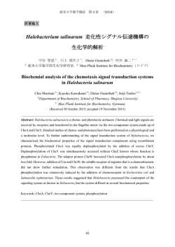 Halobacterium salinarum 走化性シグナル伝達機構の 生化学的解析