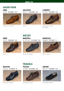 GOOD YEAR TRAVELS AIR JET ABEL