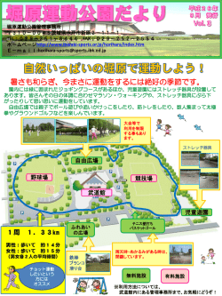 PDF形式 - 茨城県体育協会