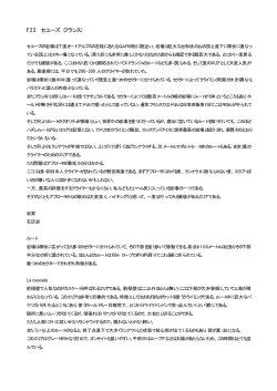 F23 セユーズ（フランス）