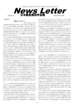 News Letter