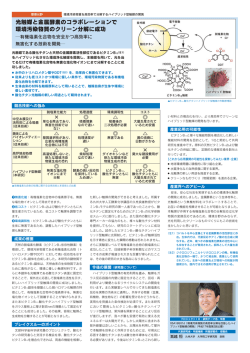 環境汚染物質を高効率で分解するハイブリッド型触媒の開発