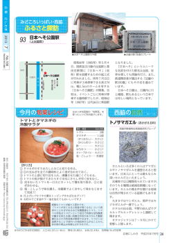 24ページ（PDF：860.9KB）