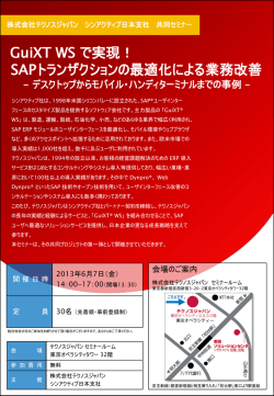 GuiXT WS で実現！ SAPトランザクションの最適化による業務改善
