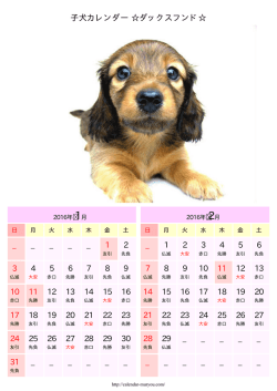 子犬カレンダー ダックスフンド