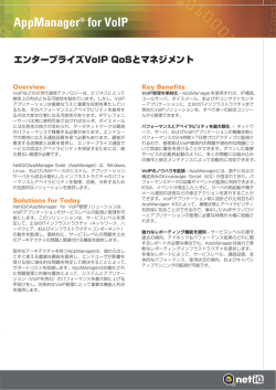 AppManager&reg; for VoIP