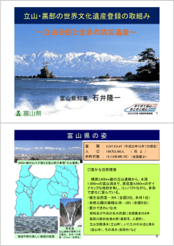 富山県知事 特別講演資料（PDFファイル）