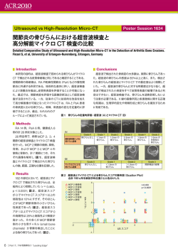 関節炎の骨びらんにおける超音波検査と 高分解能マイクロ CT 検査の比較