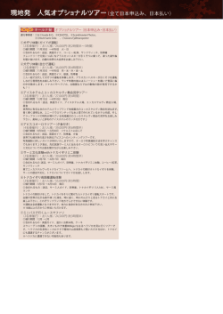 現地発 人気オプショナルツアー