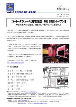 219.6 KB - 株式会社ヴァリック