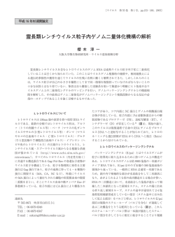 霊長類レンチウイルス粒子内ゲノム二量体化機構の