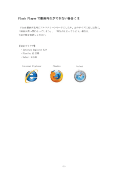 Flash Playerで動画再生ができない場合には（PDF：271KB）