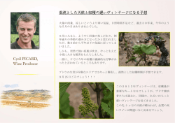 混沌とした天候と収穫の遅いヴィンテージになる予想