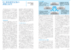 EU 新体制発足後の 課題と展望