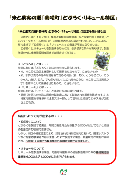 『米と果実の郷「美咲町」どぶろく・リキュール特区』の認定を受けました