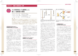 業績解説文 - The Japan Prize Foundation