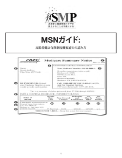 MSNガイド - SMP Hawaii