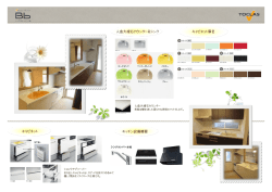 人造大理石カウンター＆シンク キャビネット扉色 キッチン設備機器