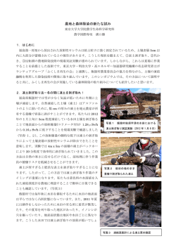 農地と森林除染の新たな試み - 国際情報農学研究室