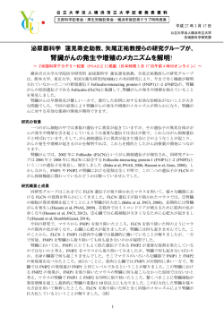腎臓がんの発生や増殖のメカニズムを解明!