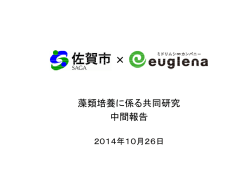 藻類培養に係る共同研究 中間報告