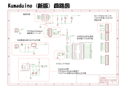PDFファイル