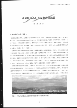 武庫川のふしぎな地形と地質 - 兵庫県立 人と自然の博物館