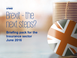 Brexit &ndash; the next steps?