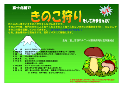 約3kmの山道などをきのこ狩りをしながら歩きます。