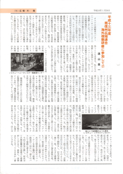 Microsoft Photo Editor