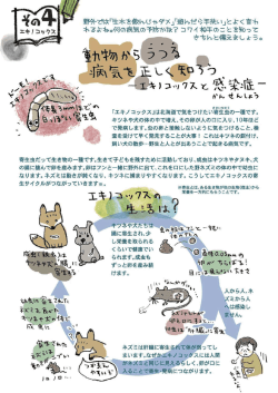その4 エキノコックス