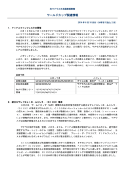 FIFAファンフェスタの開催・統合コマンド
