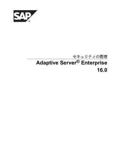 Adaptive Server Enterprise 16.0 - Sybase
