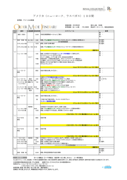 アメリカ（ニューヨーク、ラスベガス）10日間