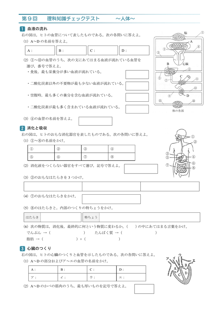 第 9 回 理科知識チェックテスト 人体