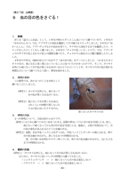 9 虫の目の色をさぐる！