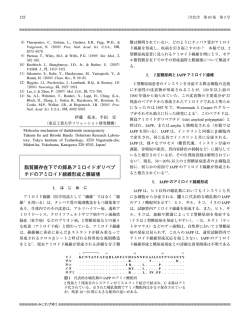 脂質膜存在下での膵島アミロイドポリペプ チドのアミロイド線維形成と膜