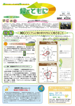 特集 豊田スタジアムに菜の花がきれいに咲きました